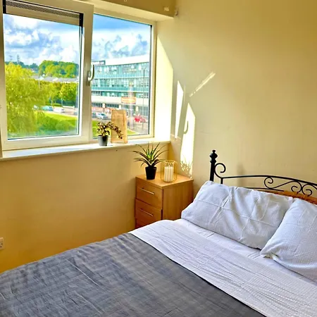 Comfort Park And Pillow