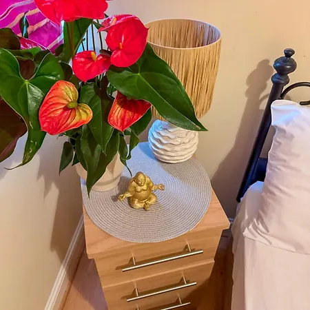 Kwatera prywatna Heron Gate Comfort, Park And Pillow