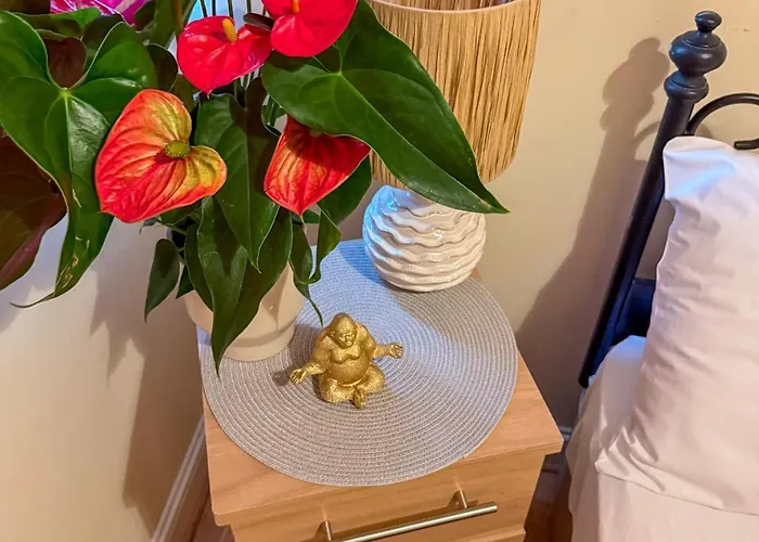 Kwatera prywatna Heron Gate Comfort, Park And Pillow